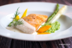 DSC0019-Kopie